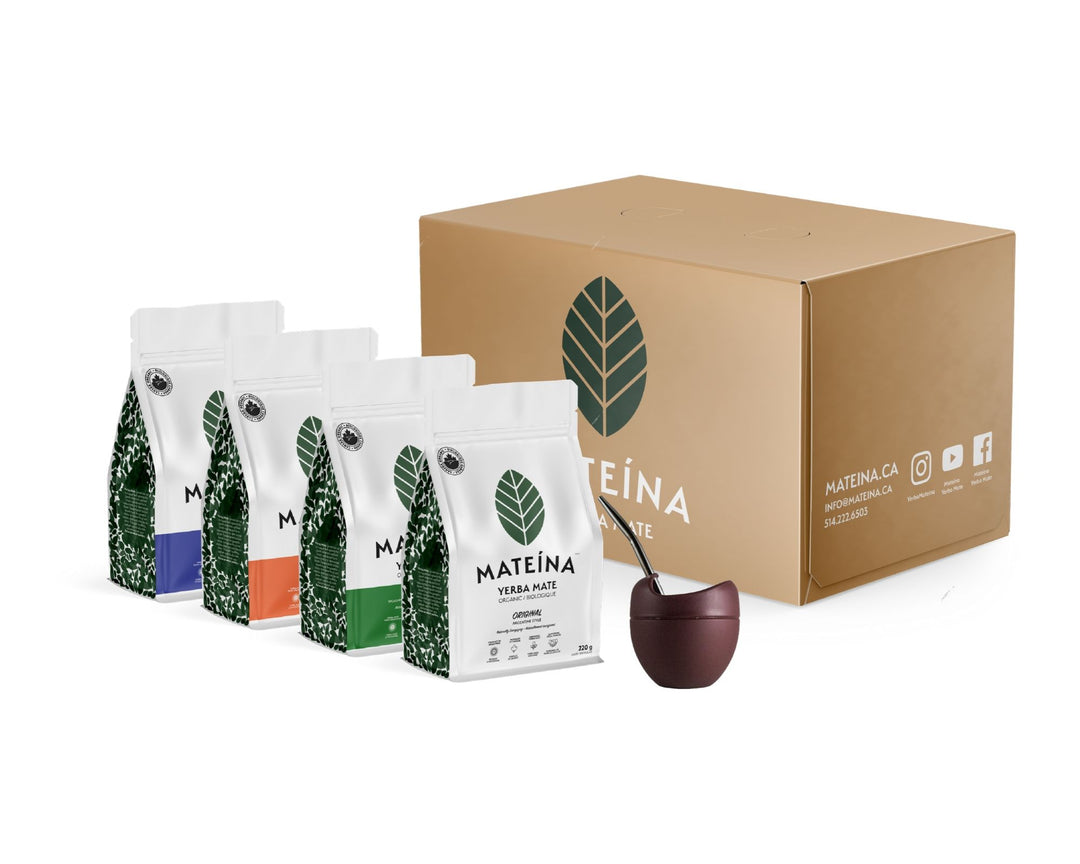 Mateína - Ensemble du Matero (1 gourde +1 bombilla + 4 saveurs de maté sec)