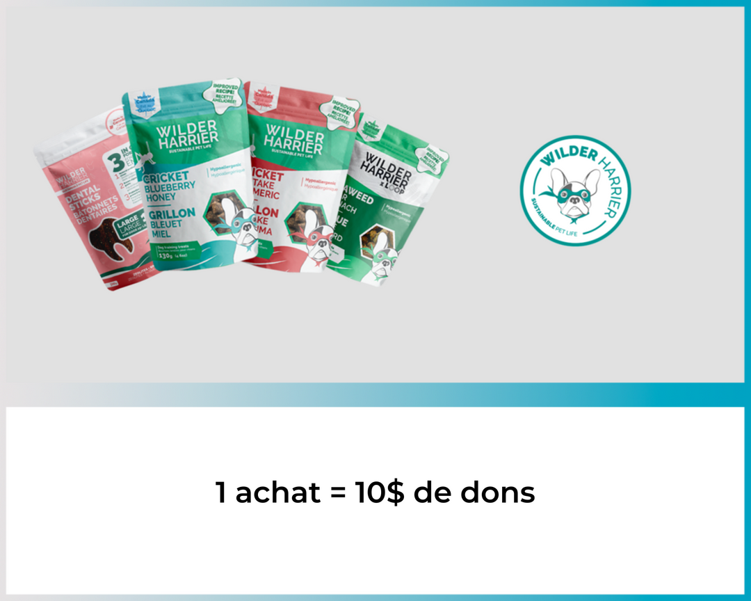 Wilder Harrier - Panier de 4 produits pour gâter votre chien