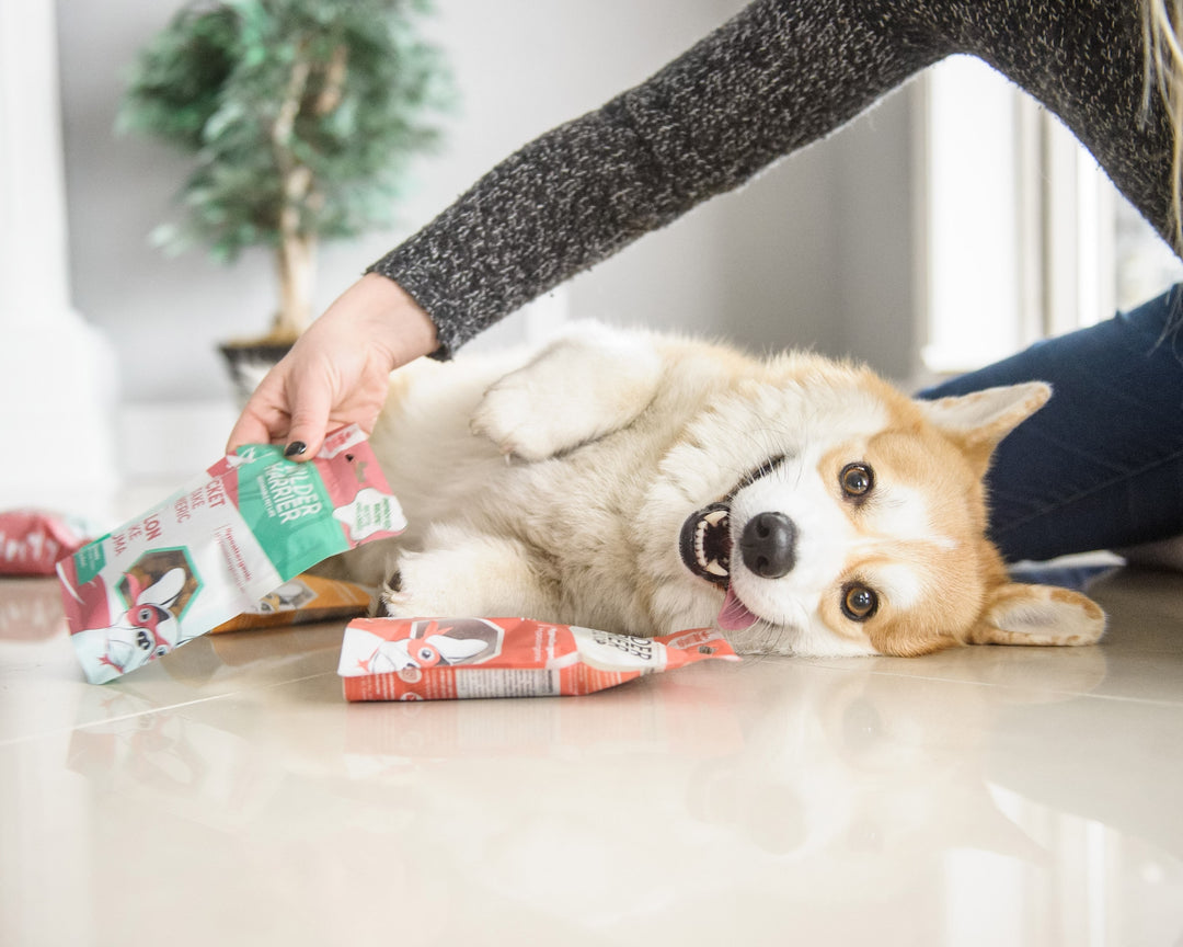 Wilder Harrier - Panier de 4 produits pour gâter votre chien